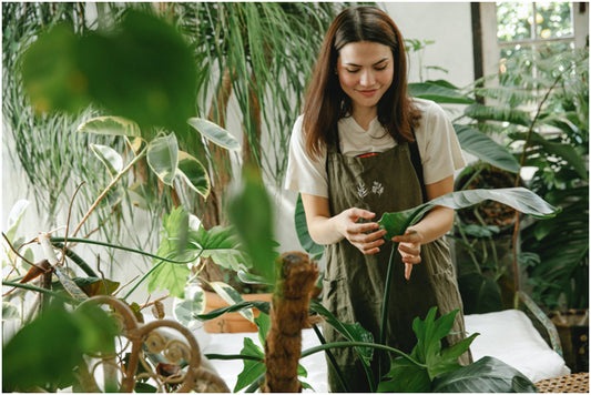 How to Turn Your Garage Into a Gardening Haven