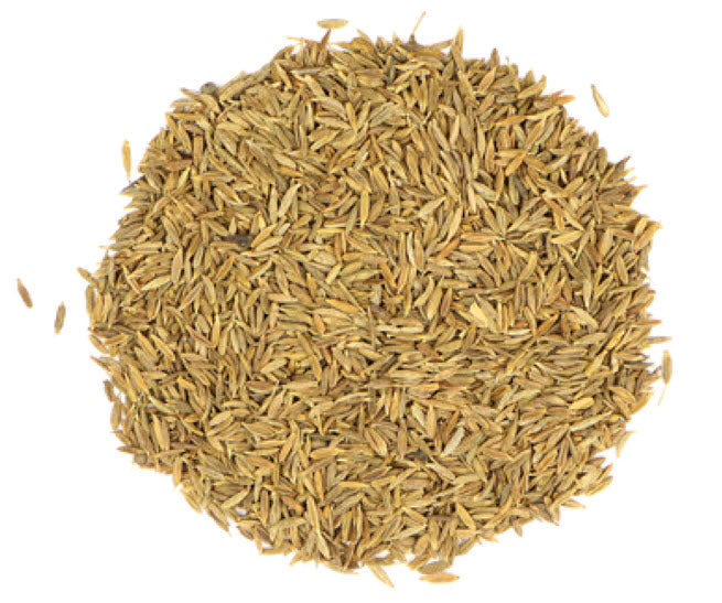 Cumin Seed - Indian Spice 4oz jar