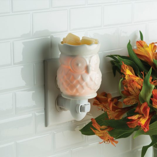Decorative night light with owl design on a wall next to a bouquet of flowers.